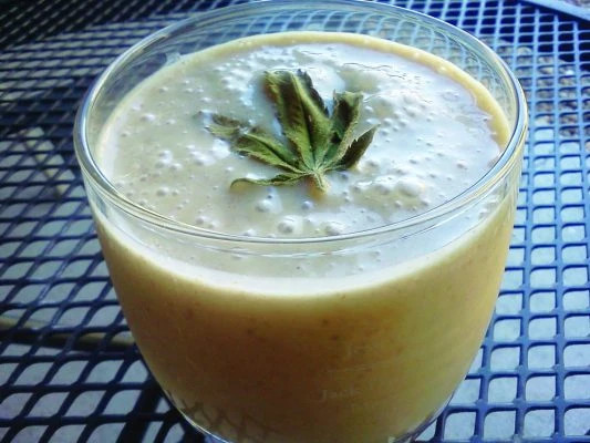  Bhang (Cannabis-Infused Milk or Cream)